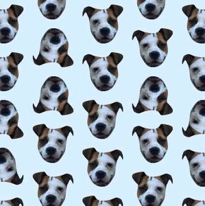 Meet your Posher, Jessie